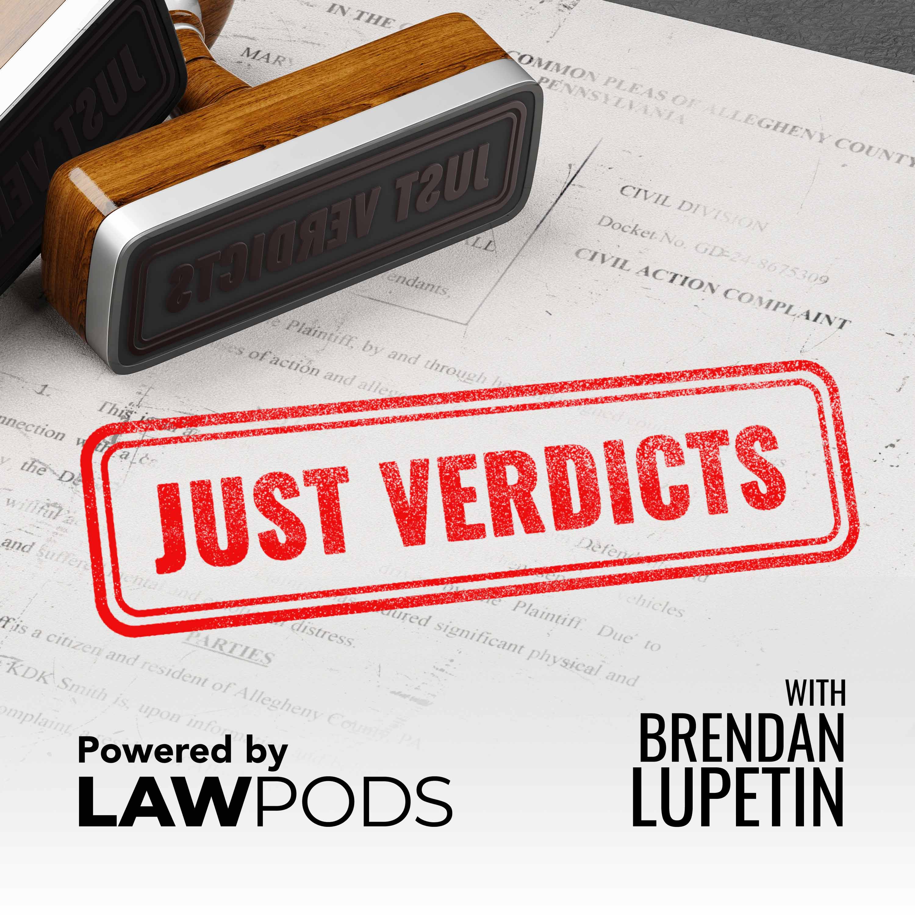 Just Verdicts