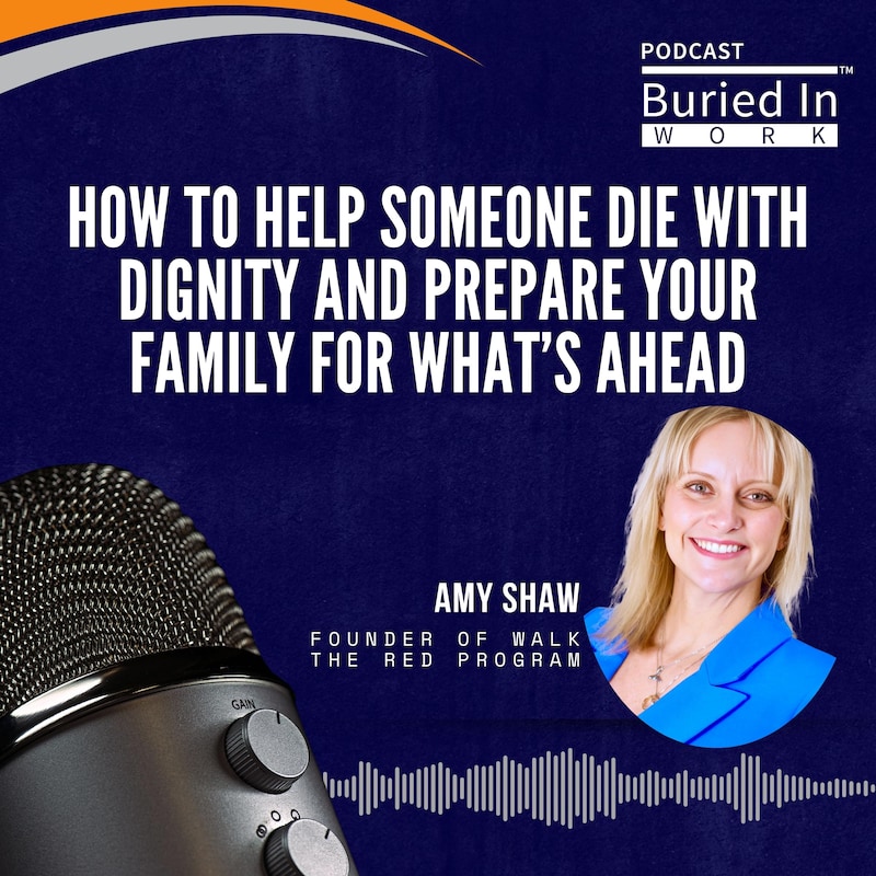 Artwork for podcast Buried in Work Podcast
