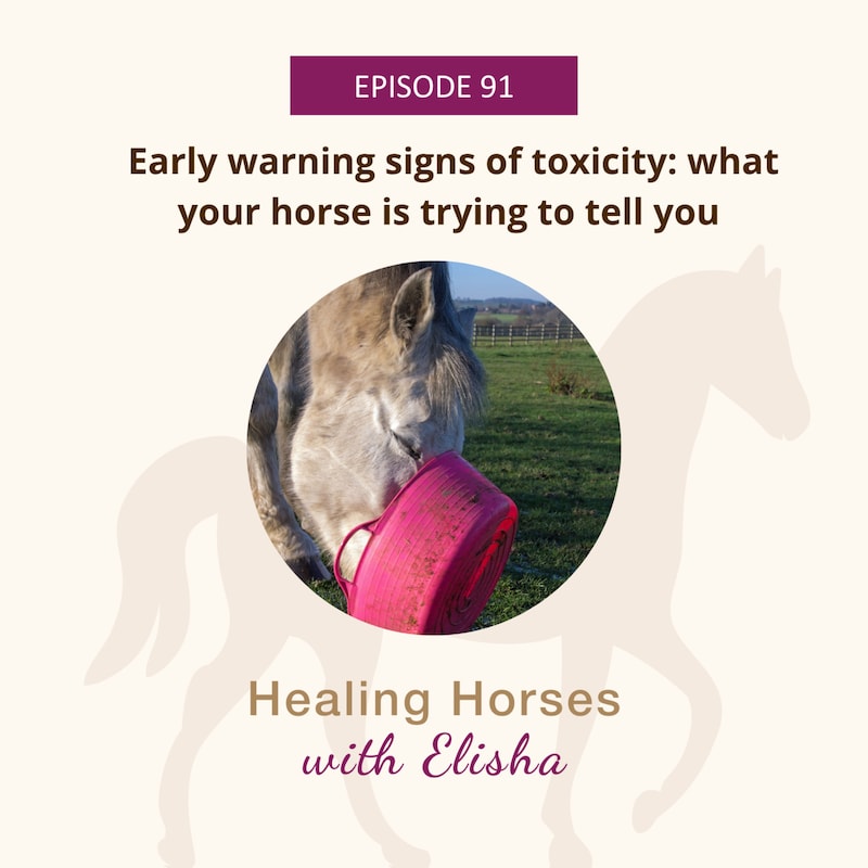 Artwork for podcast Healing Horses with Elisha