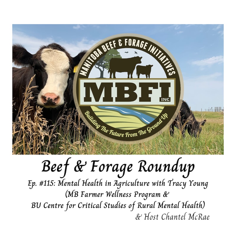 Artwork for podcast Beef and Forage Roundup