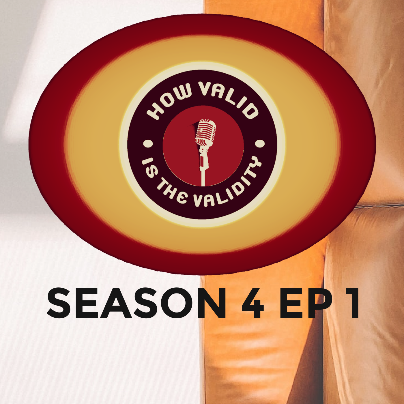 Artwork for podcast HOW VALID IS THE VALIDITY