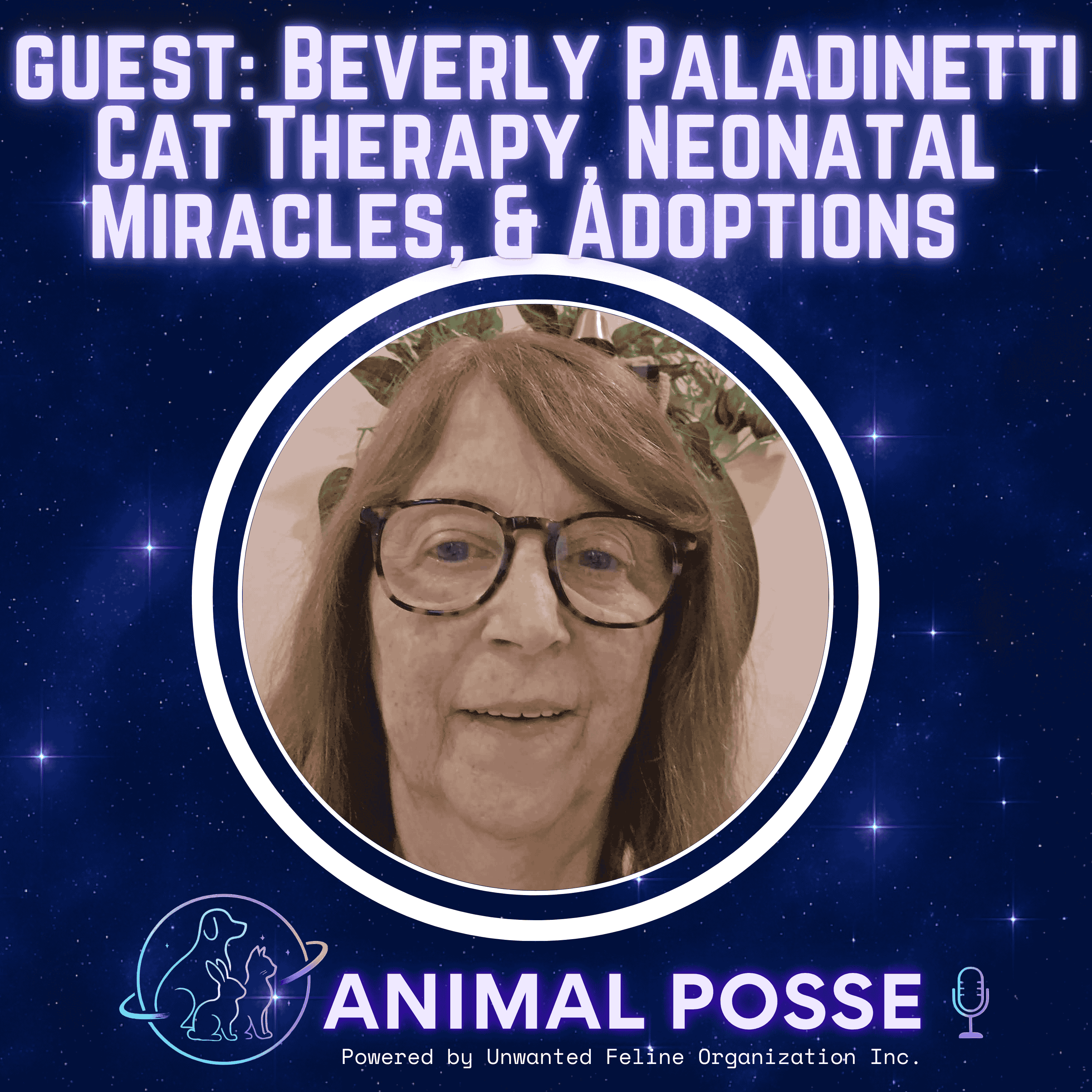 Cat Therapy, Neonatal Miracles, and Adoptions with Beverly Paladinetti