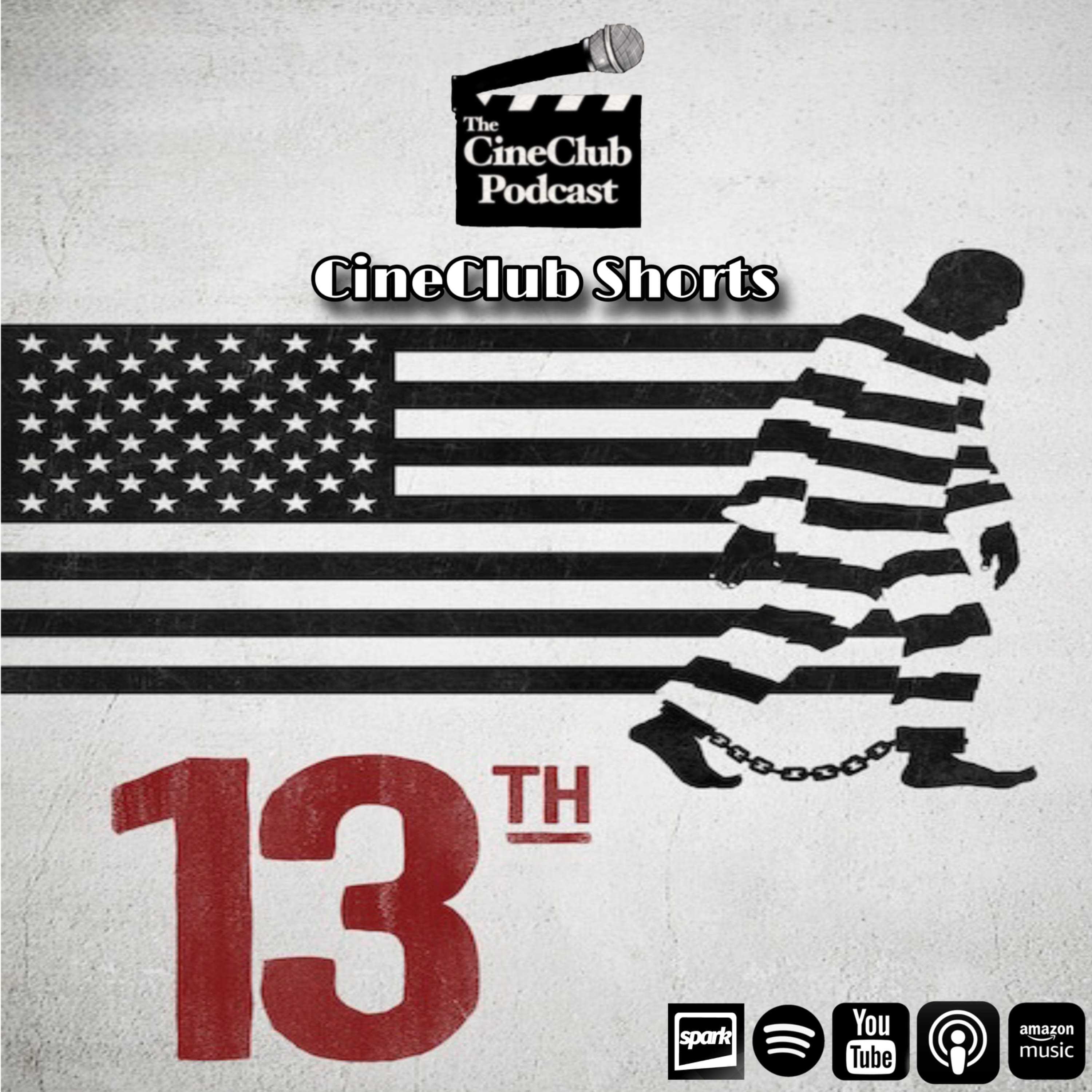 CineClub Spotlight: Du Vernay’s 13TH episode artwork