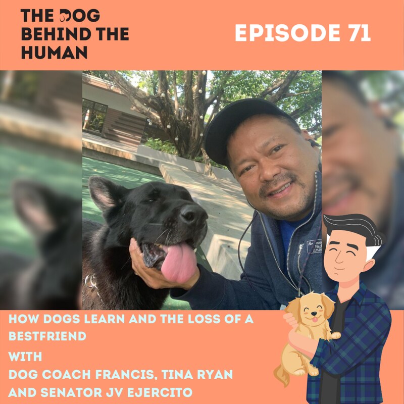 Artwork for podcast The Dog Behind The Human