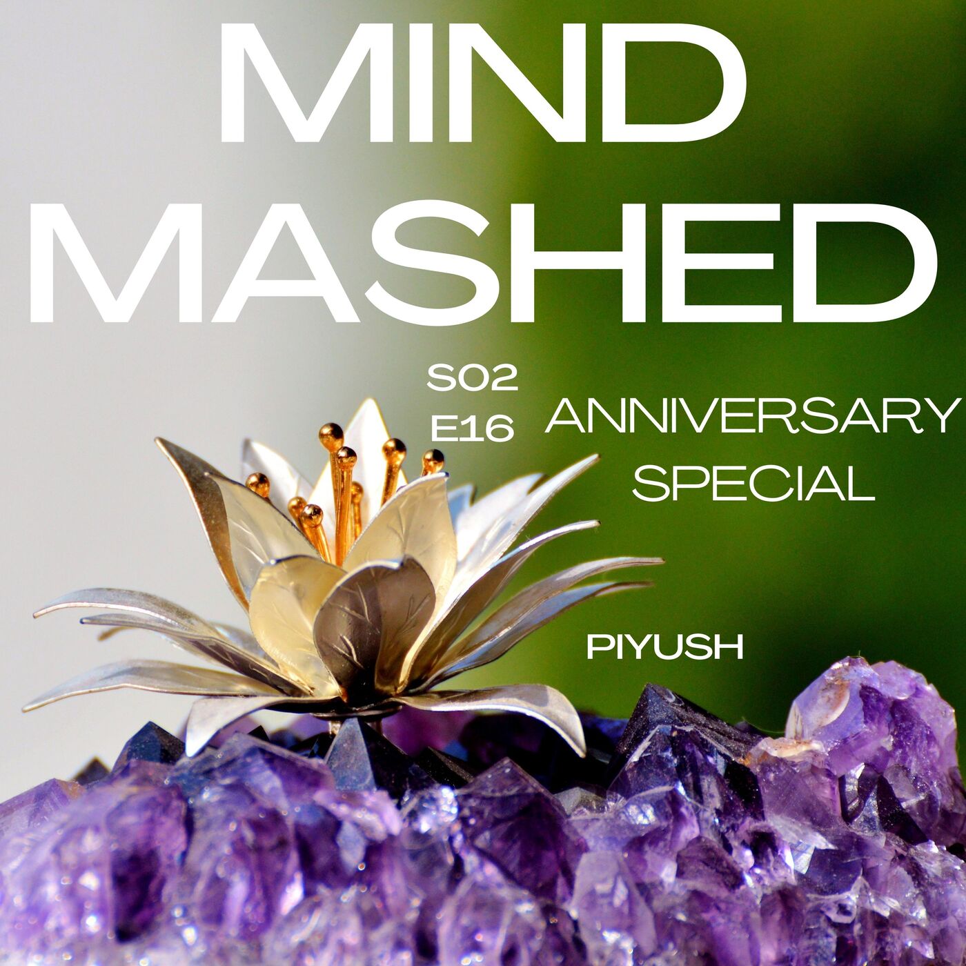 Mind Mashed - A Transformative Mindfulness & 5D Spirituality Podcast