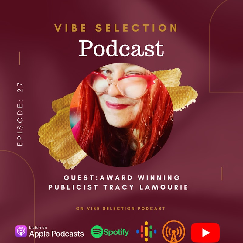 Artwork for podcast Vibe Selection