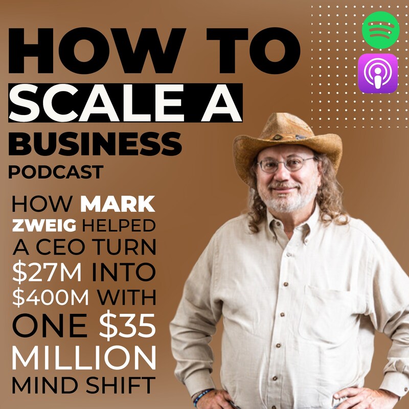 Artwork for podcast How to Scale a Business