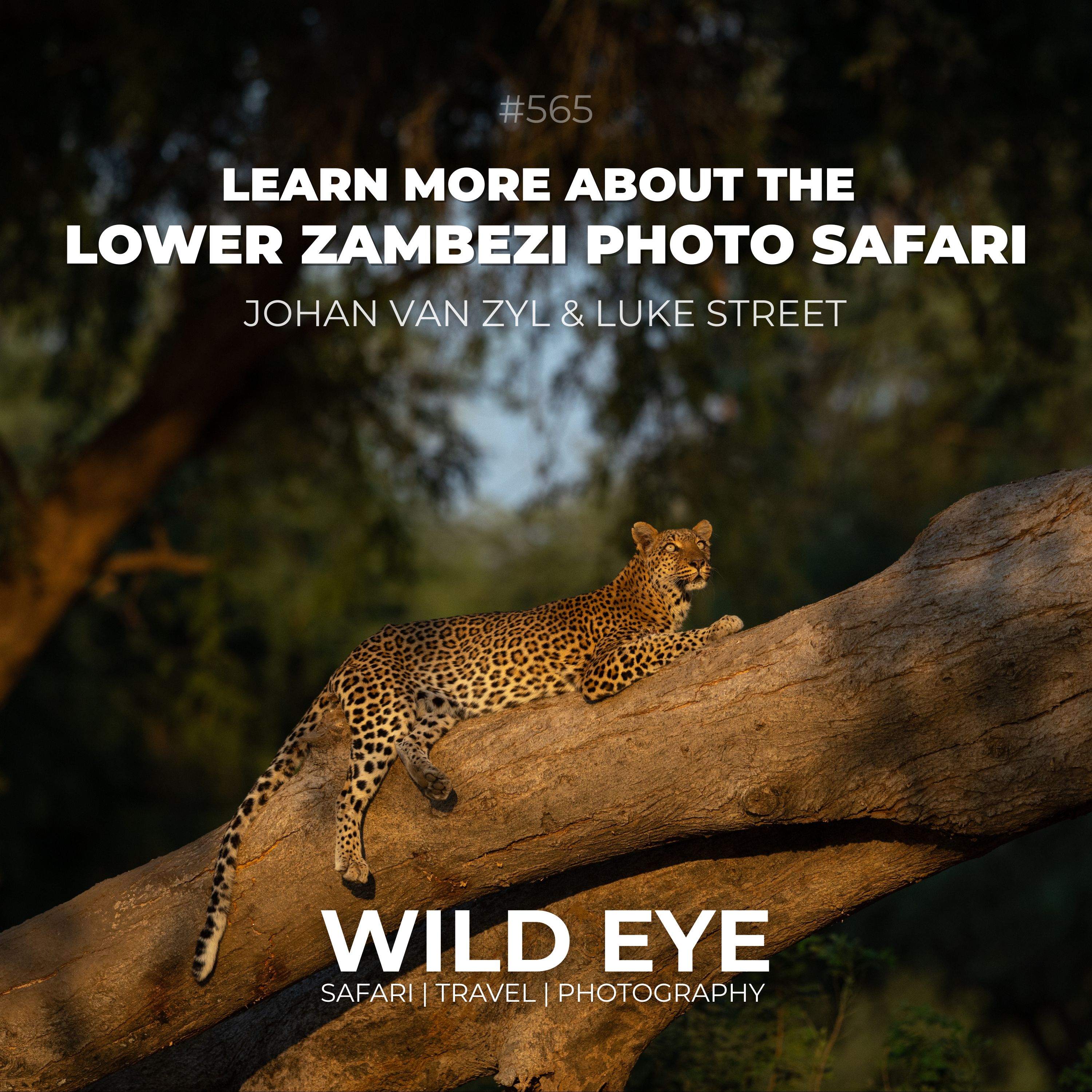#565 - Learn More About The Lower Zambezi Photo Safari episode artwork