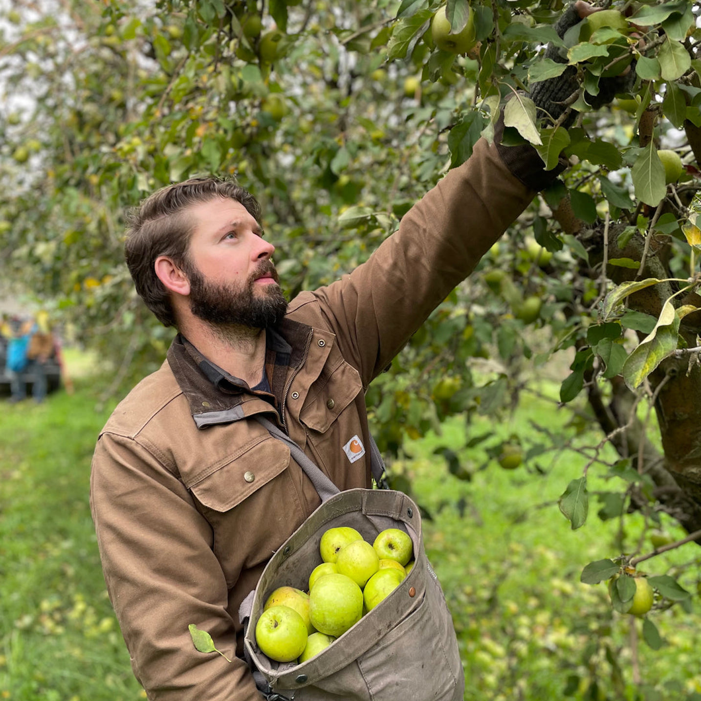 FoA 324: Dry Farmed Orchards, Wild and Heritage Apples and Natural Cidermaking with Brendan Barnard of Posterity Ciderworks