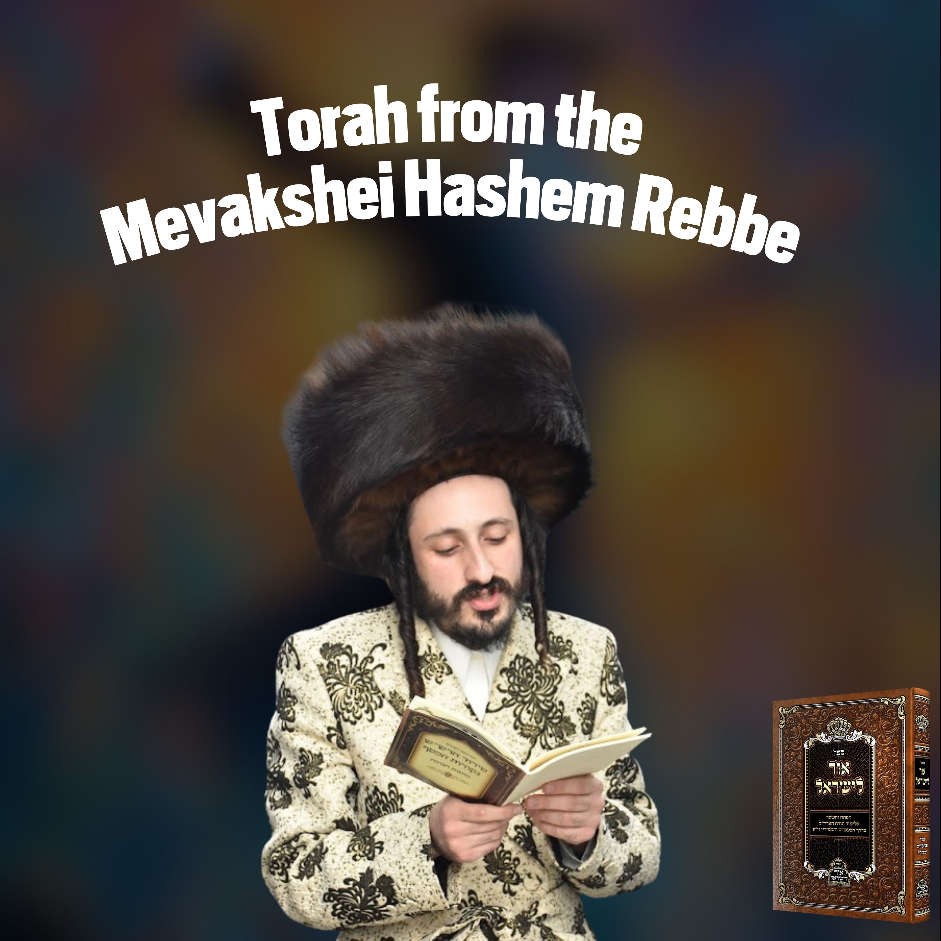 Show artwork for Mevakshei Hashem Rebbe