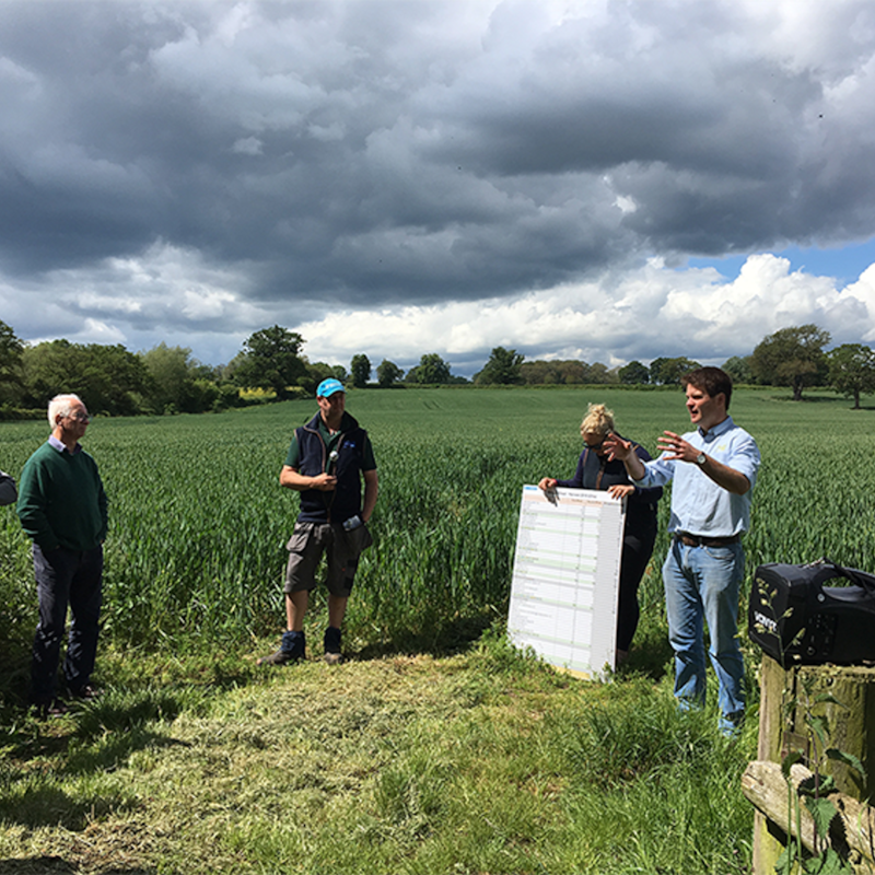 Artwork for podcast AHDB Food & Farming