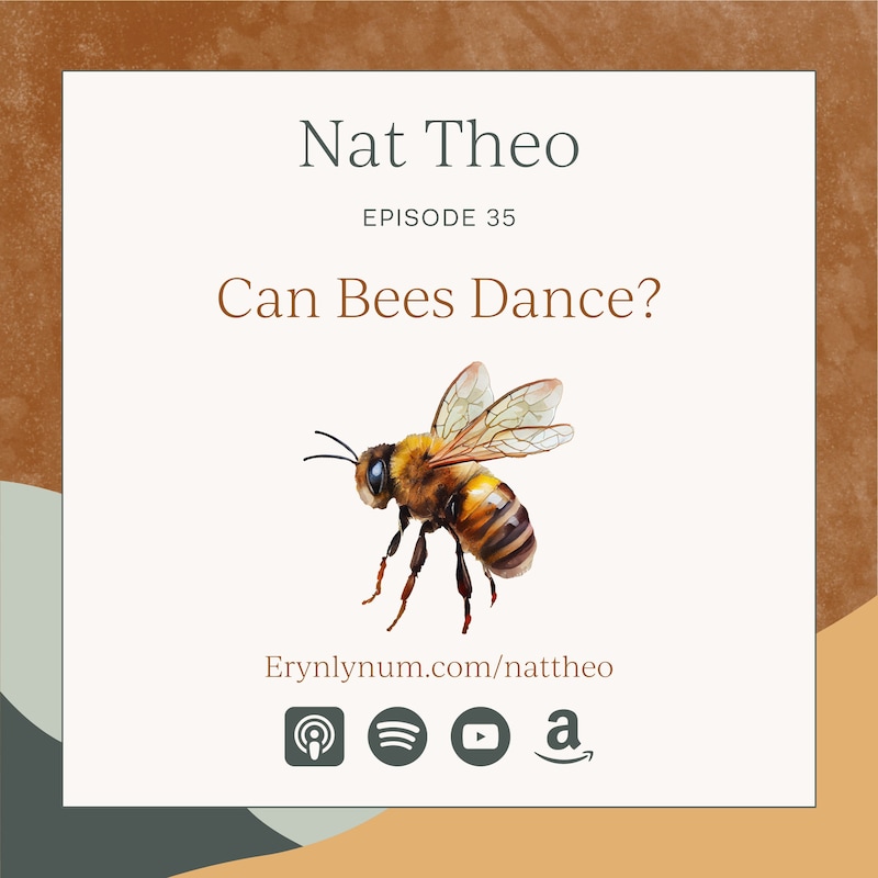 Artwork for podcast Nat Theo Nature Lessons Rooted in the Bible