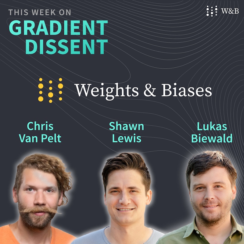 Artwork for podcast Gradient Dissent: Conversations on AI