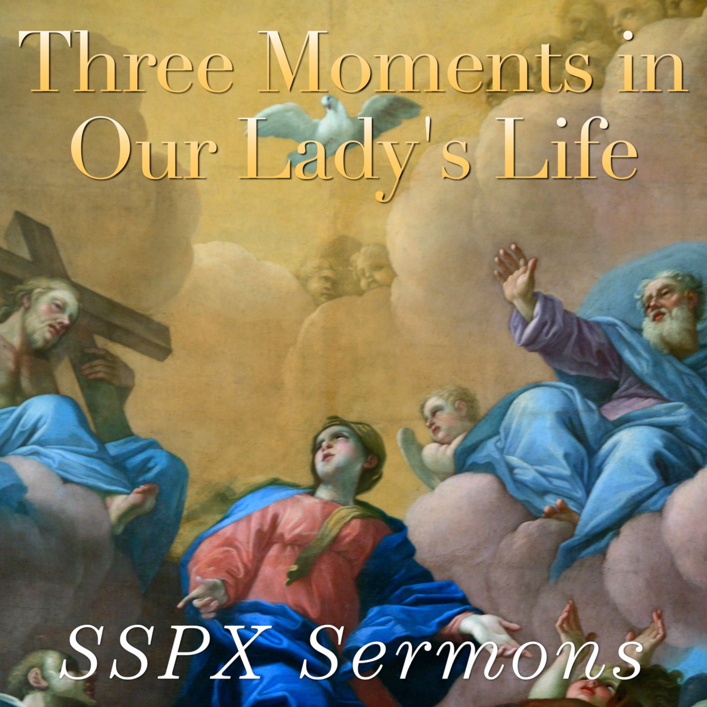 Three Moments in Our Lady's Life - SSPX Sermons