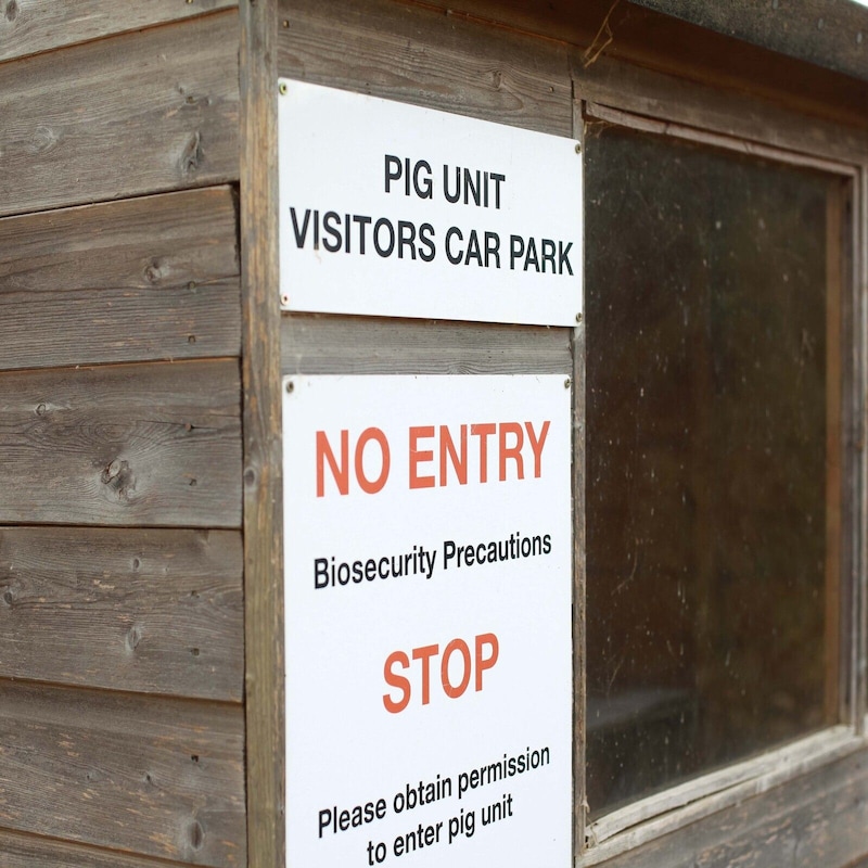 Artwork for podcast AHDB Food & Farming