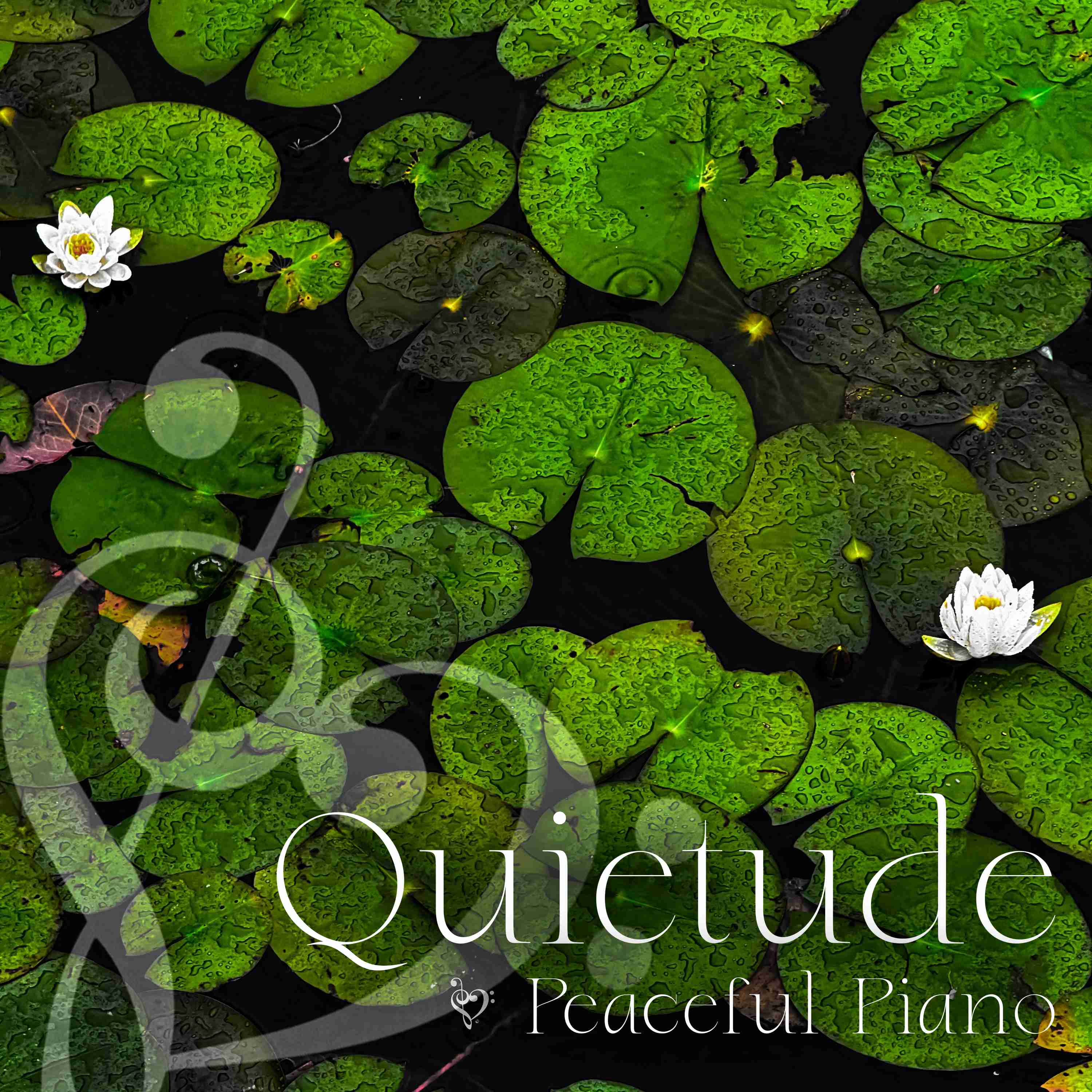 Peaceful Piano Music with Gray Treefrogs - 4 Hours - "Under the Covers" episode artwork