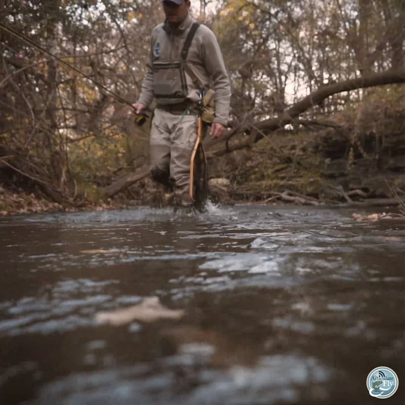 Artwork for podcast The Articulate Fly