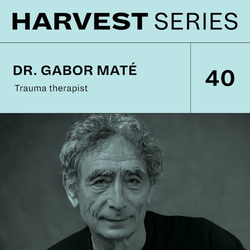 Artwork for podcast Harvest Series