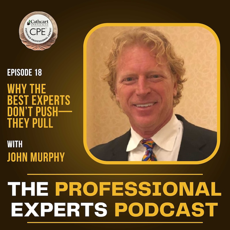 Artwork for podcast The Professional Experts Podcast