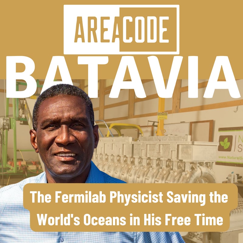 Artwork for podcast Area Code: Batavia