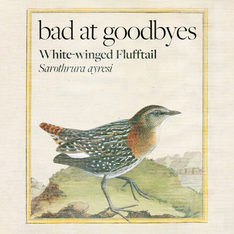Artwork for podcast Bad at Goodbyes