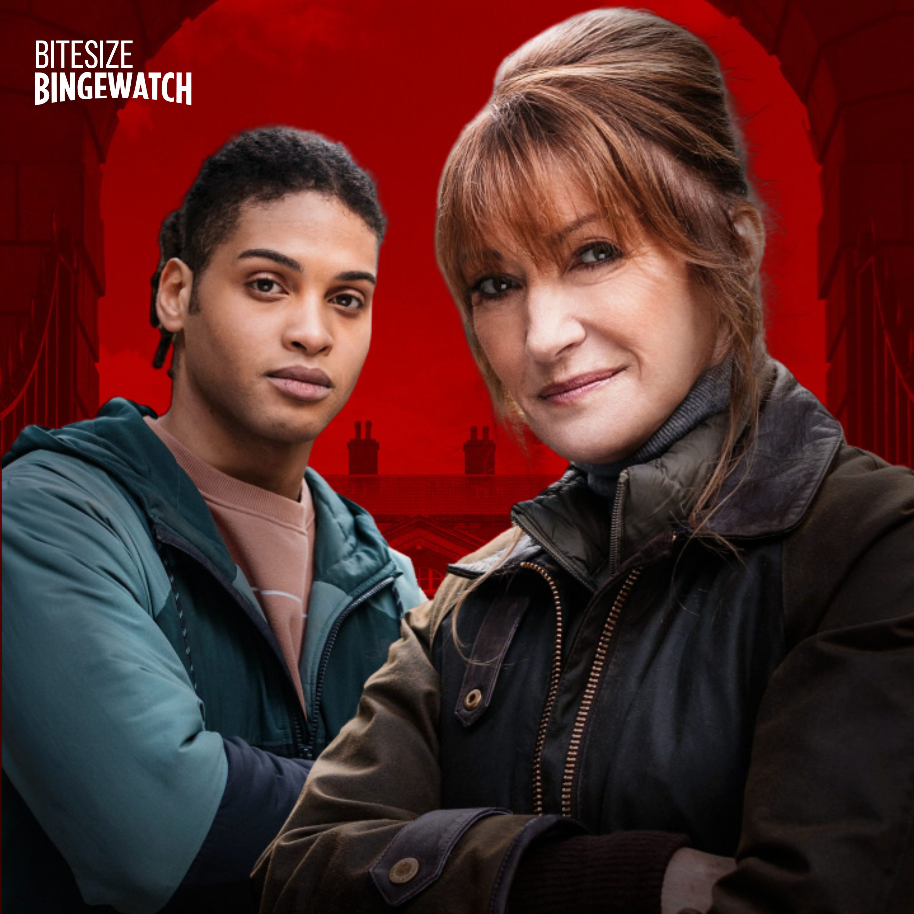 Harry Wild (Series 3, U, 2025) episode artwork