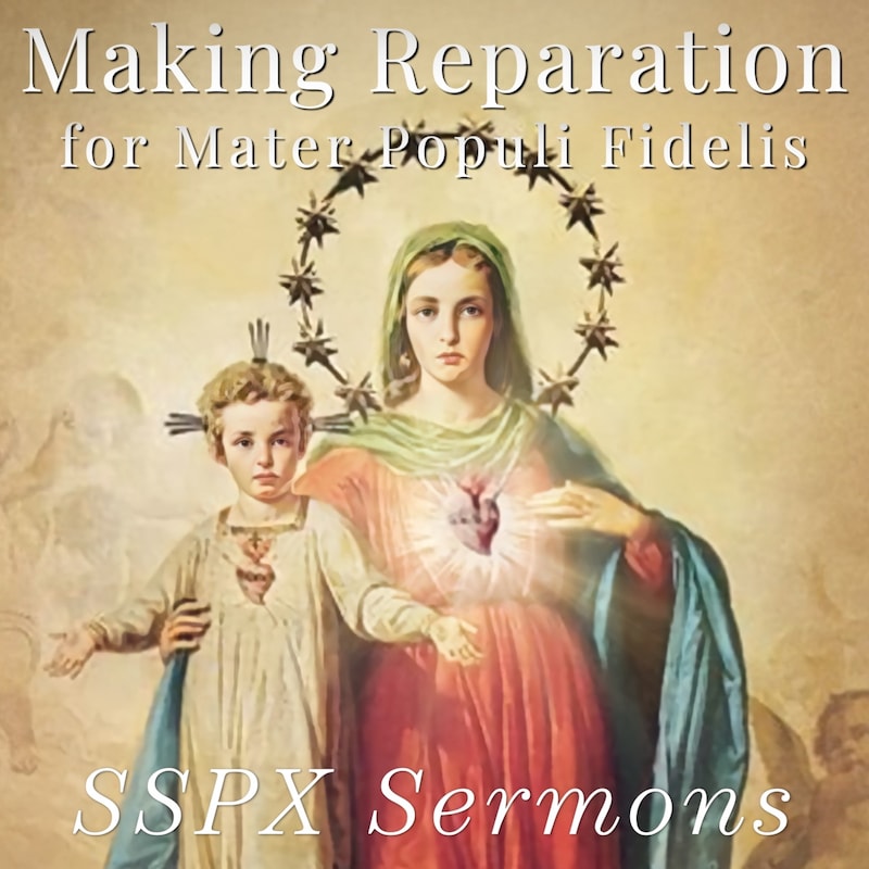 Artwork for podcast SSPX Sermons