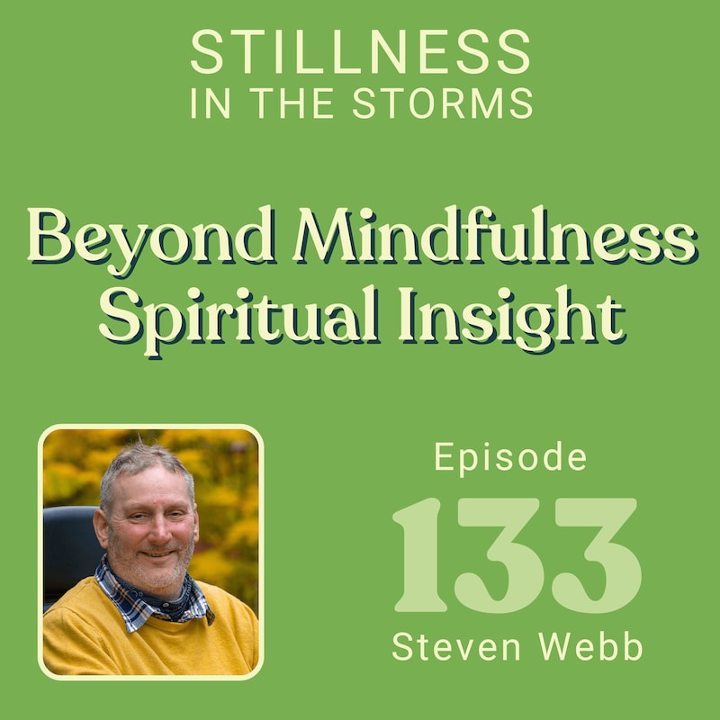 Artwork for podcast Stillness in the Storms