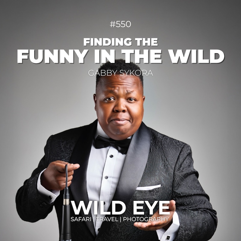 Artwork for podcast The Wild Eye Podcast