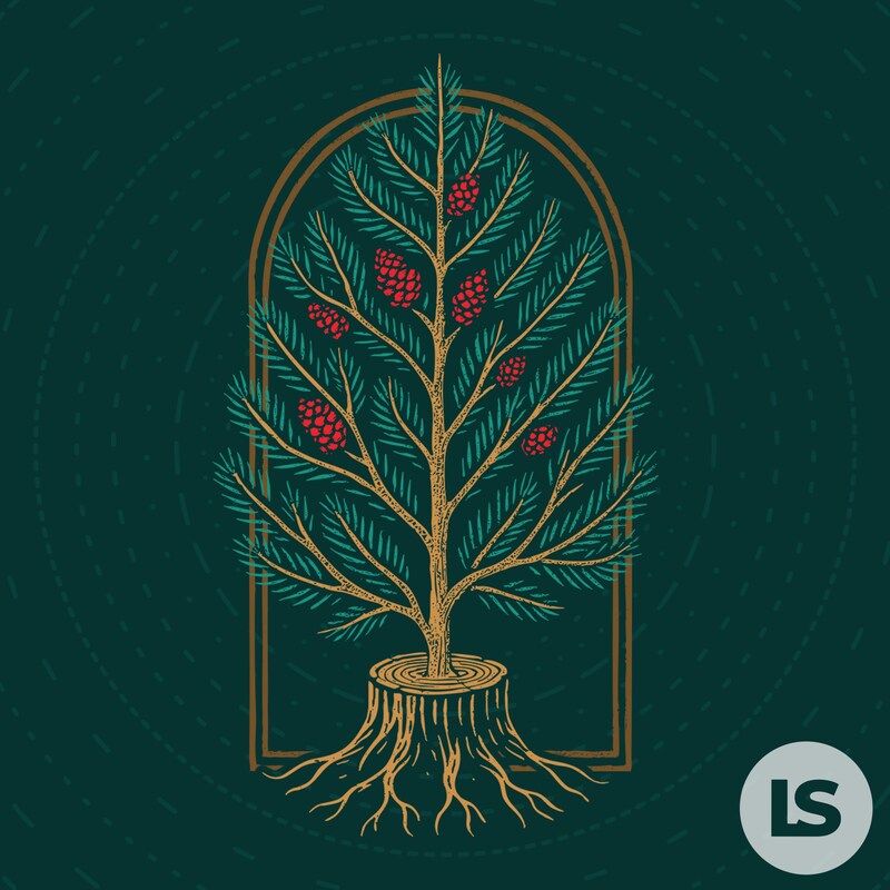 Artwork for podcast Sermons from Living Stones Church