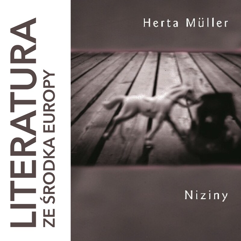 Artwork for podcast literatura ze środka Europy
