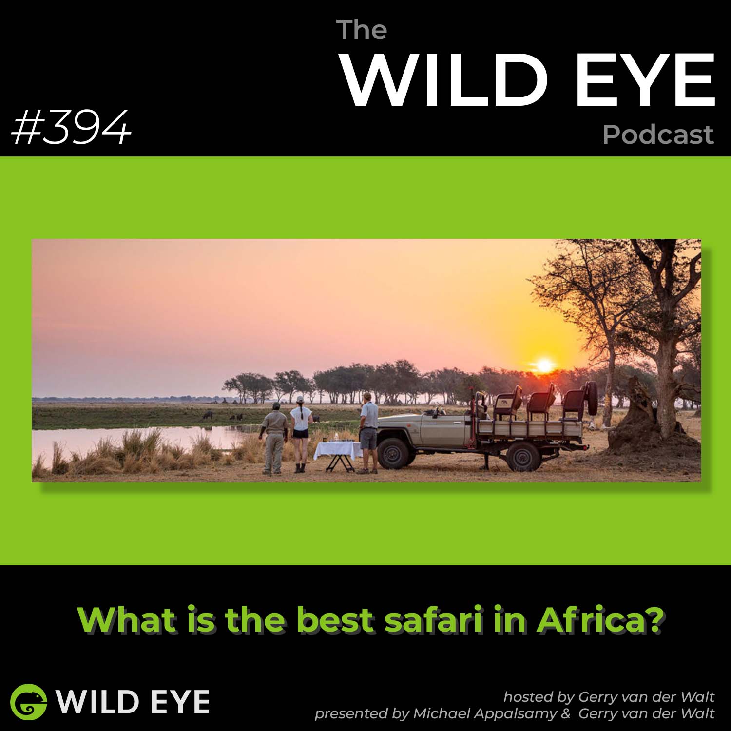 Artwork for podcast The Wild Eye Podcast
