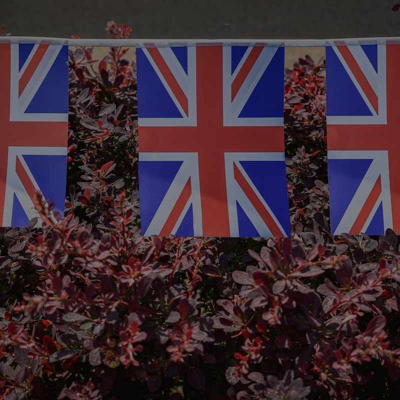 Artwork for podcast Humans Exhaust Me