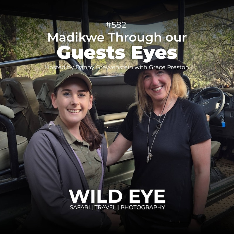 Artwork for podcast The Wild Eye Podcast