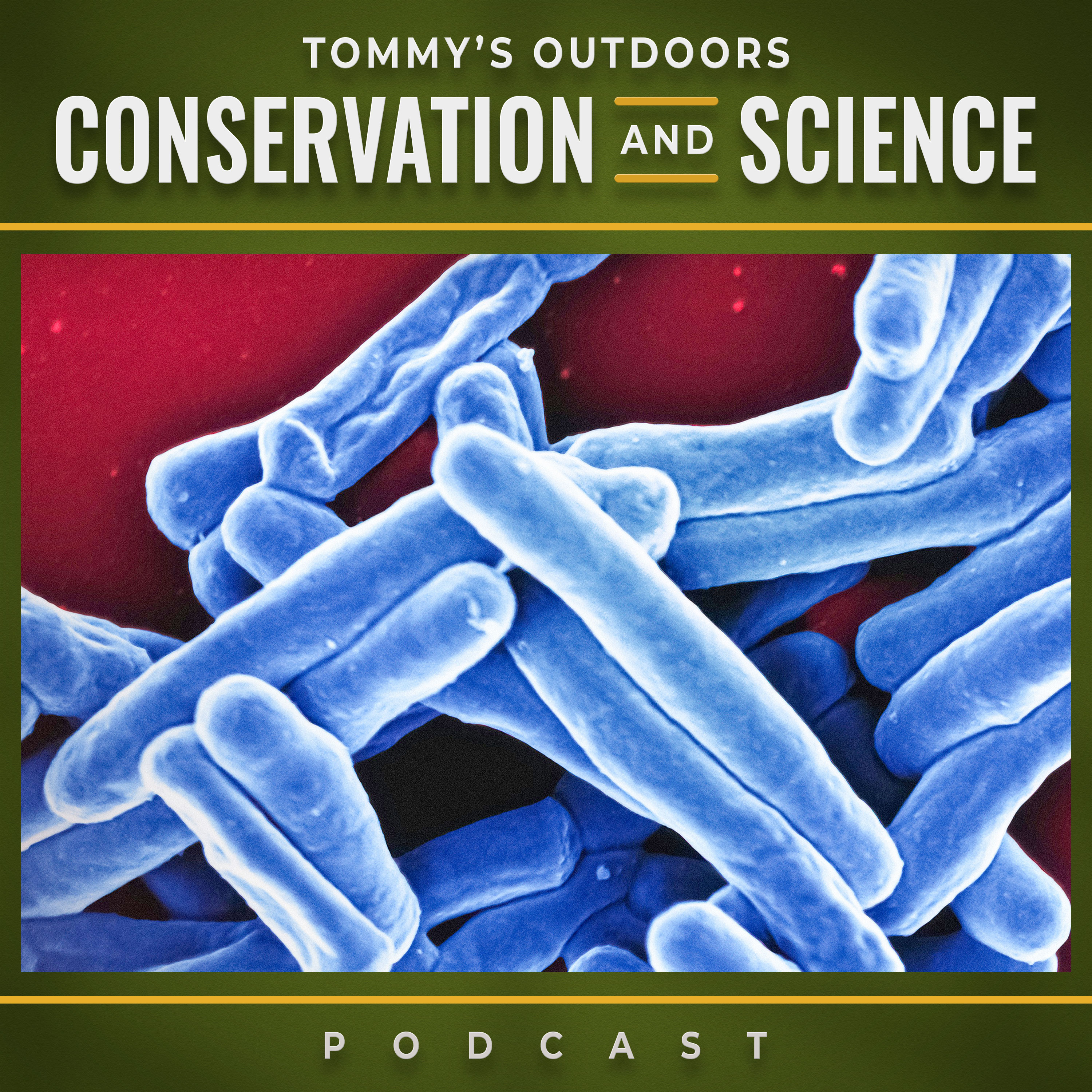 203: TB in Deer: An Irish Hunter's Guide to the Uncomfortable Reality