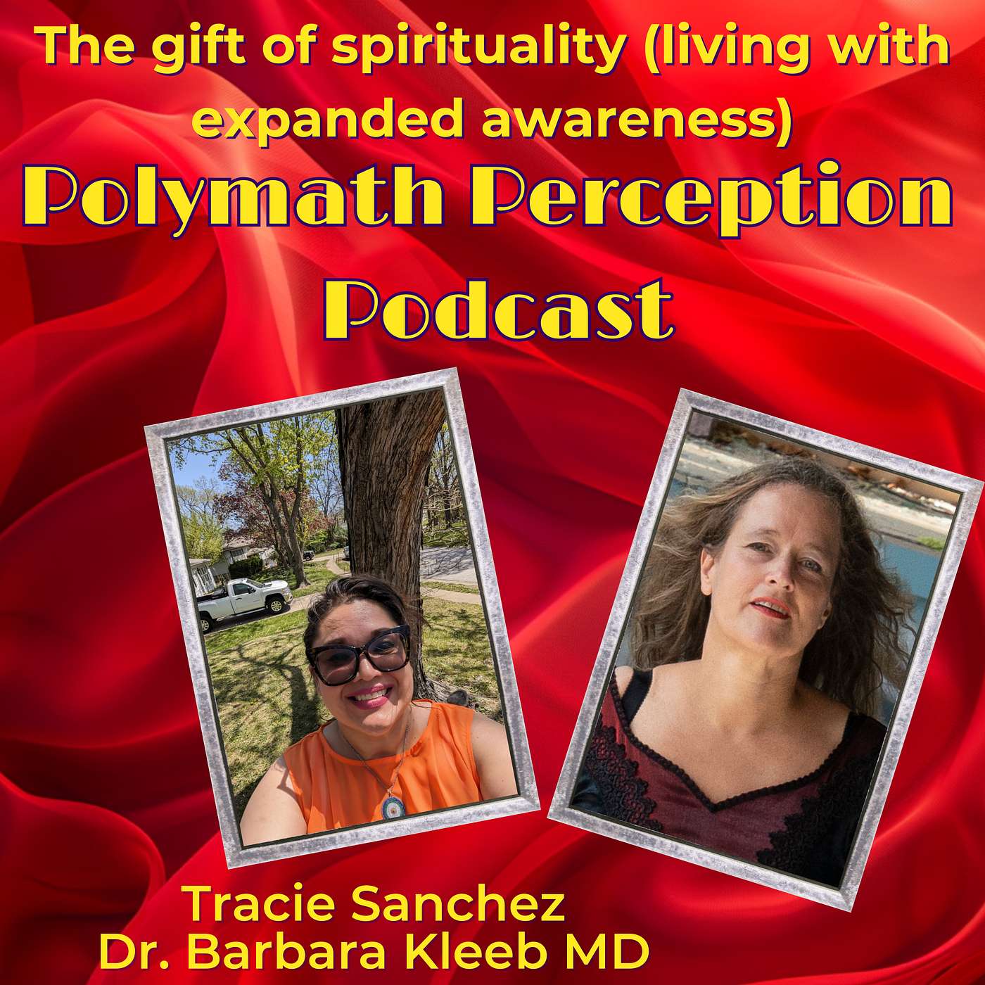 Polymath Perception Podcast by Dr. Barbara Kleeb