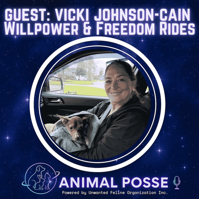 Artwork for podcast Animal Posse