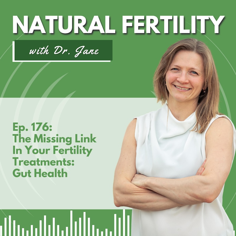 Artwork for podcast Natural Fertility with Dr. Jane