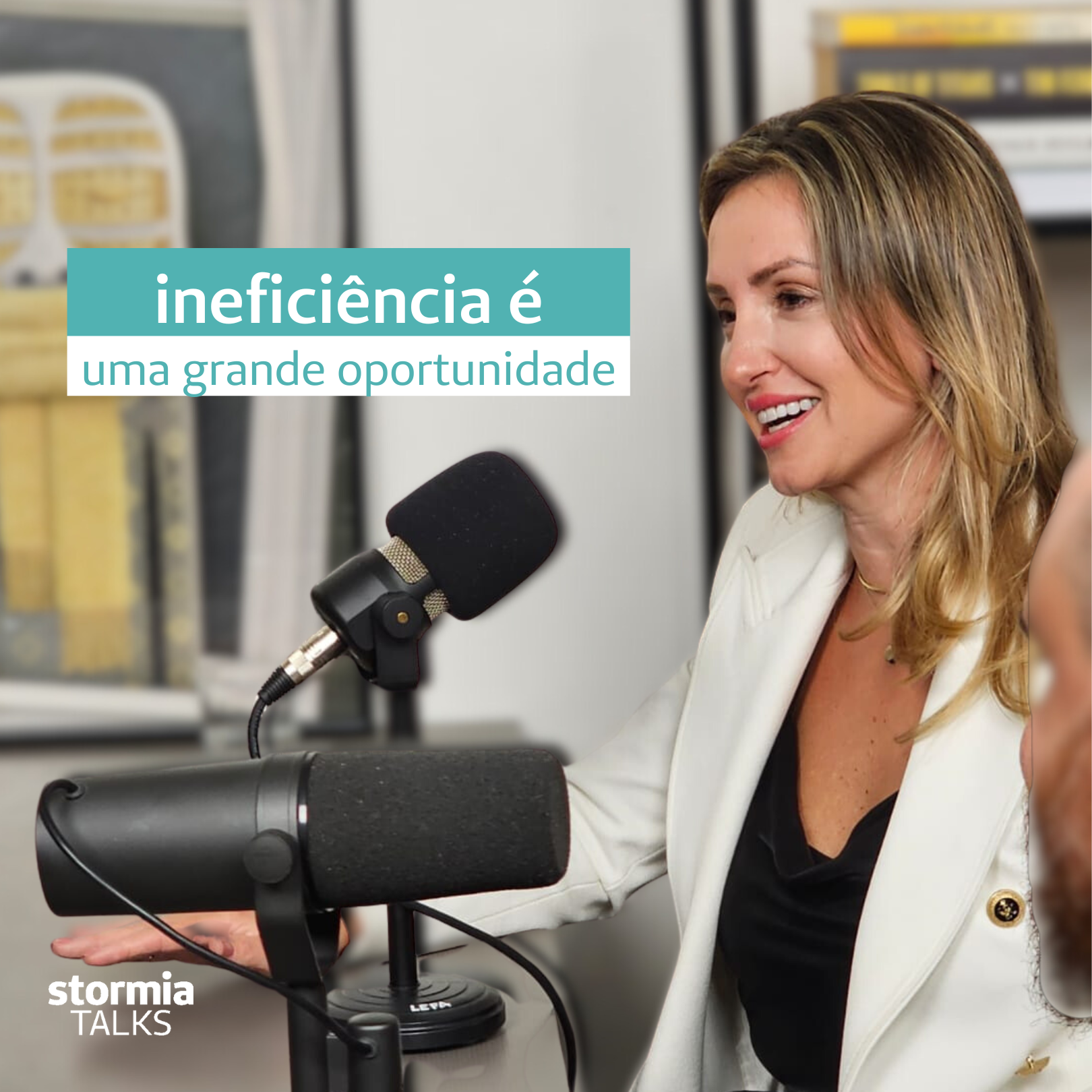Seguros Unimed: Stormia Talks