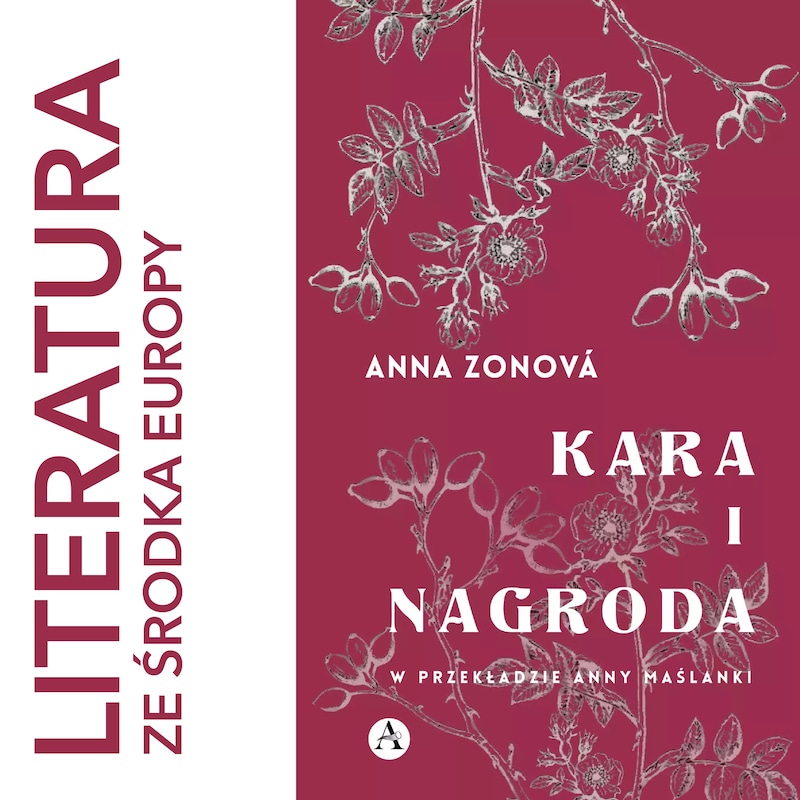 Artwork for podcast literatura ze środka Europy