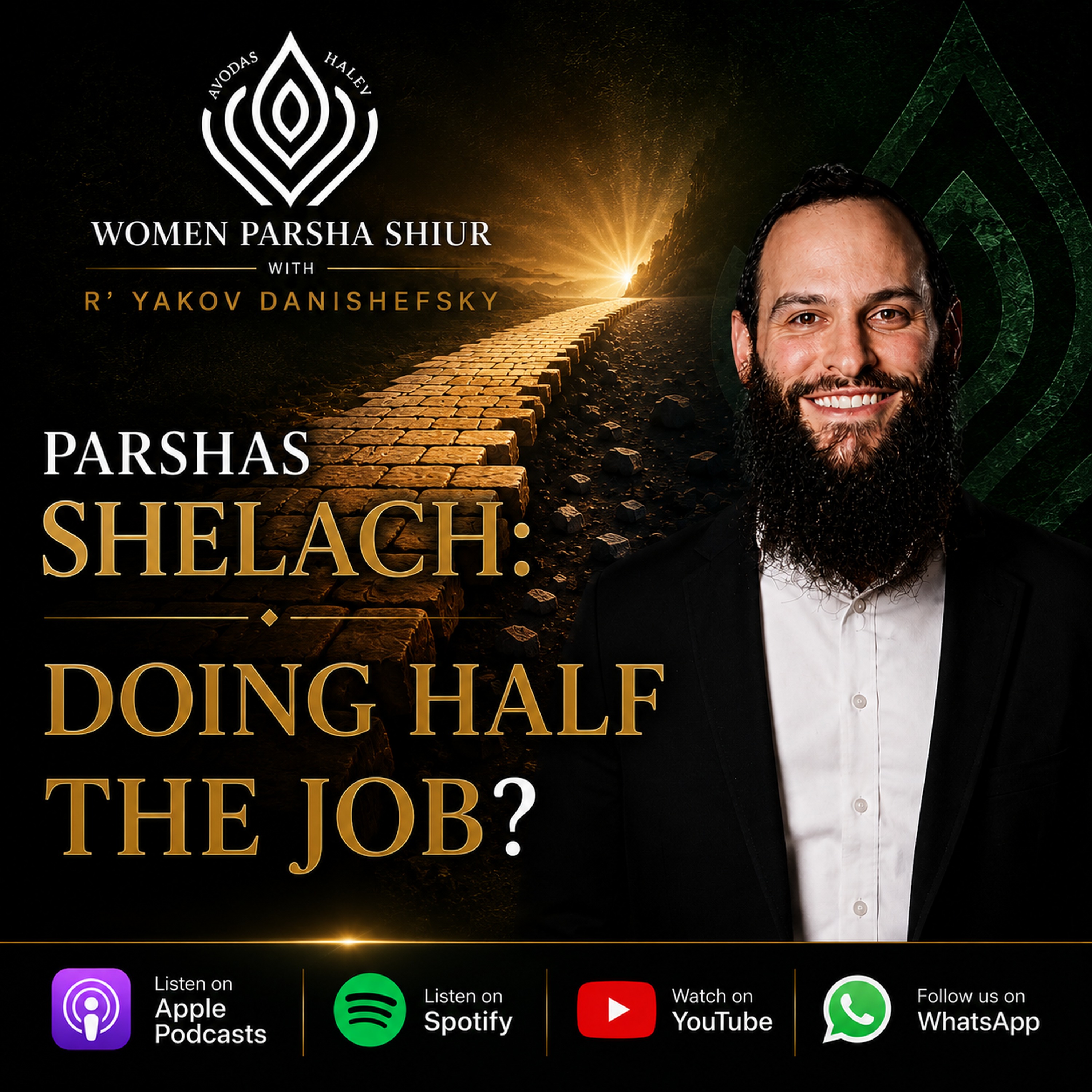 Shelach: Doing Half the Job - Avodas HaLev episode artwork