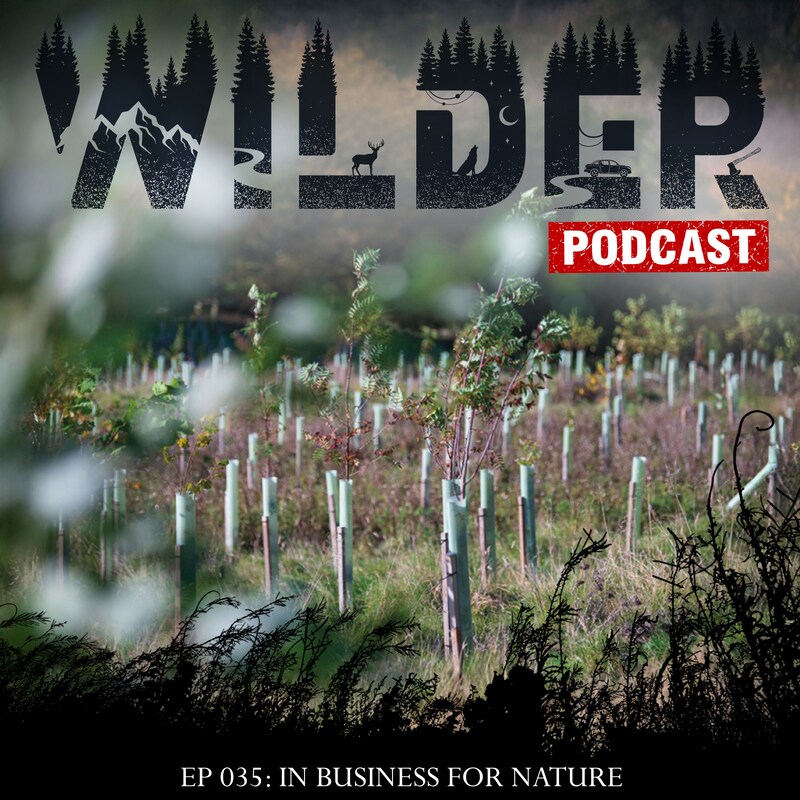Artwork for podcast Wilder Podcast
