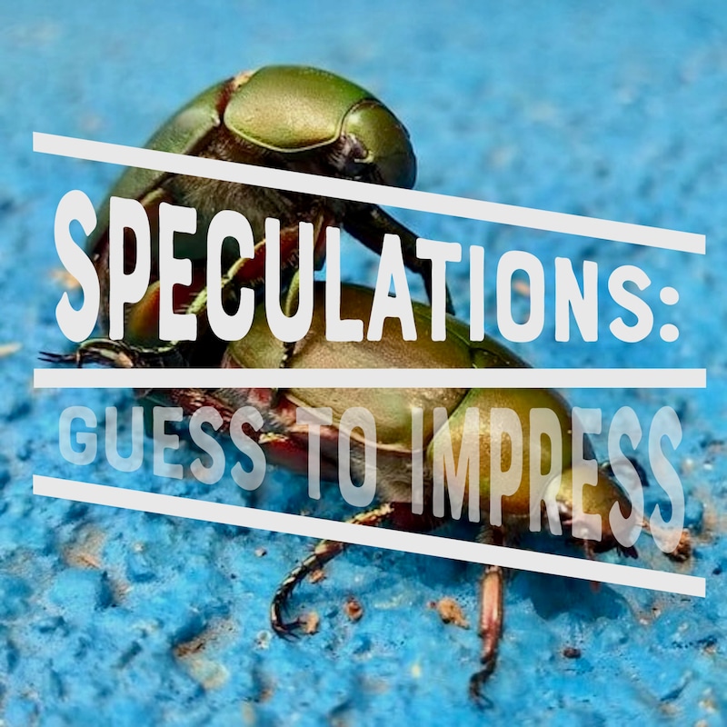 Artwork for podcast Speculations: Guess to Impress