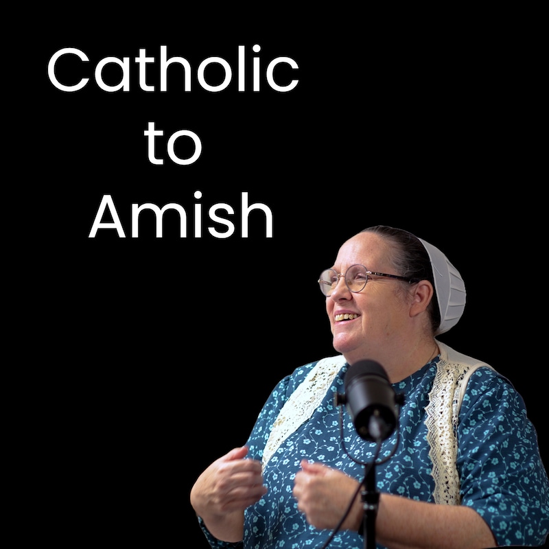 Artwork for podcast Anabaptist Perspectives