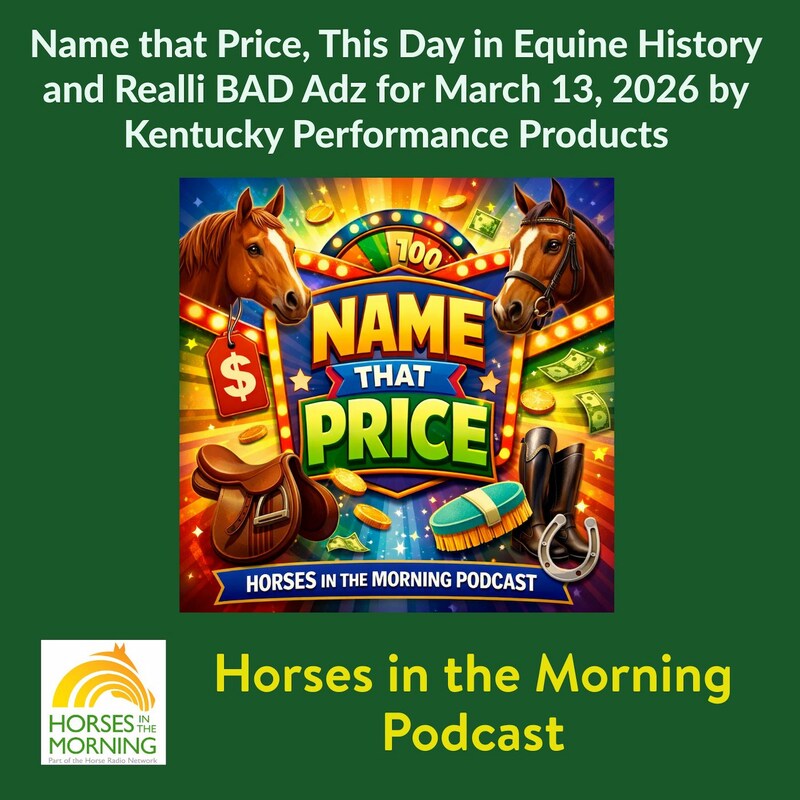 Artwork for podcast Horses in the Morning