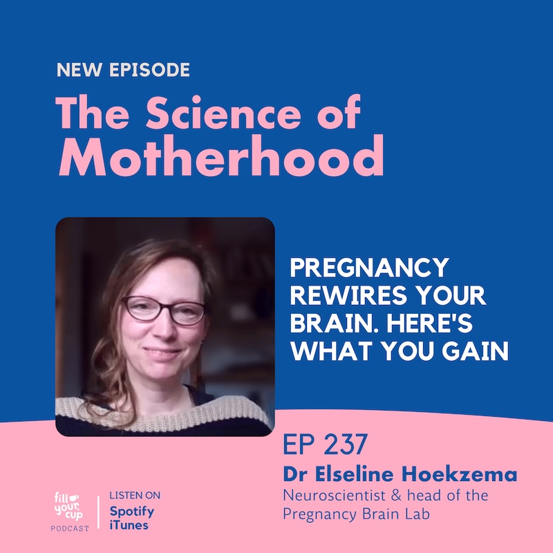 Artwork for podcast The Science of Motherhood