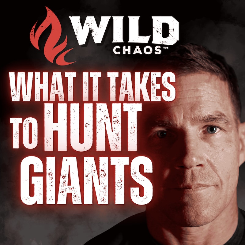 Artwork for podcast The Wild Chaos Podcast