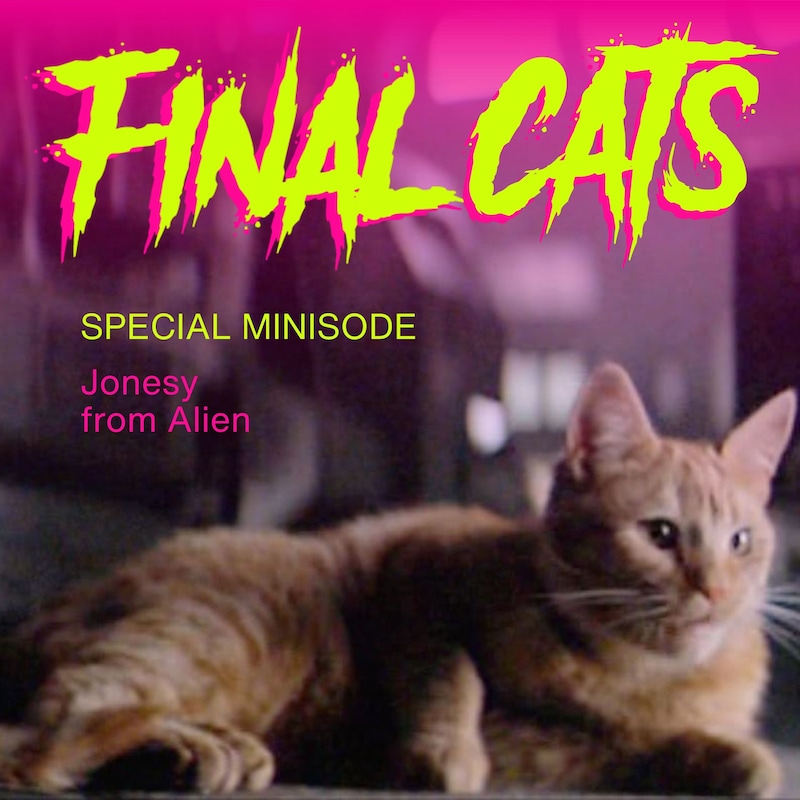 Artwork for podcast Final Girls