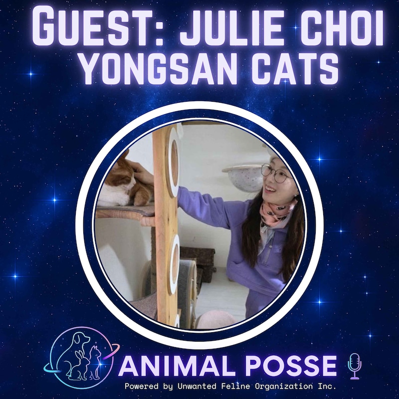 Artwork for podcast Animal Posse