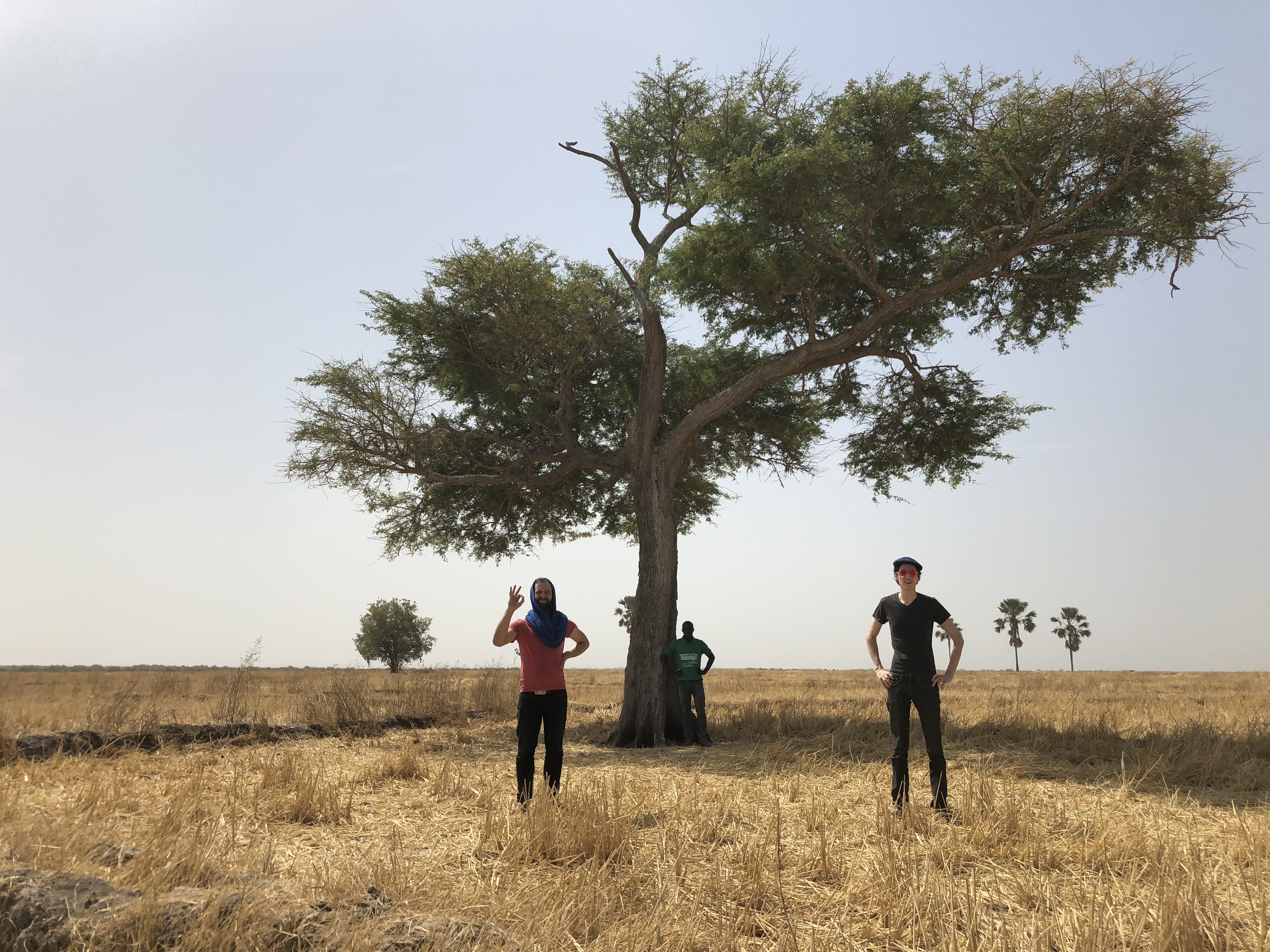 RSR185 - Simon Walls & Greg Bonnier Record The World